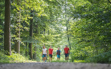 Vier Personen spazieren auf einem Waldweg, umgeben von grünen Bäumen.