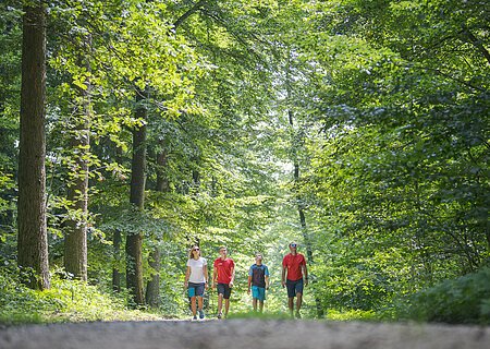Vier Personen spazieren auf einem Waldweg, umgeben von grünen Bäumen.