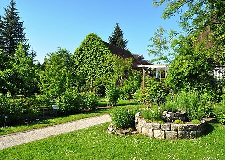 Ein Kreislehrgarten mit verschiedenen Pflanzen und Bäumen, einem Steinbeet rechts im Vordergrund, grünem Rasen und einem mit Efeu bewachsenen Haus im Hintergrund, unter blauem Himmel. Ein Schotterweg führt durch den Garten.
