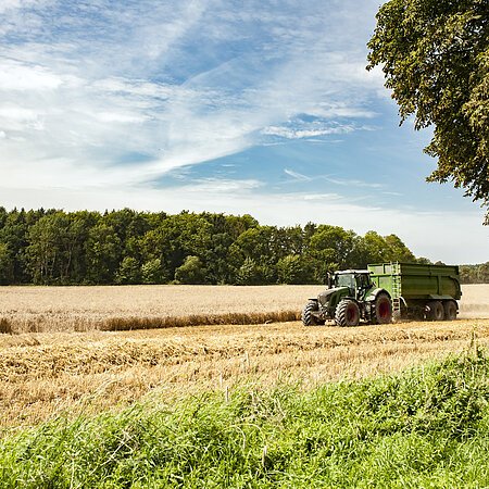 Grüner Traktor mit grünem Anhänger fährt auf  einem Feld neben abgeerntetem Getreidefeld unter blauem Himmel mit Wolken. Im Hintergrund ein Wald, im Vordergrund ein Stück grüner Wiese und eines Baumes.