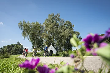 Vier Radfahrer fahren auf einem Landweg an einer kleinen weißen Kapelle und großen Bäumen vorbei, violette Blumen unscharf im Vordergrund.
