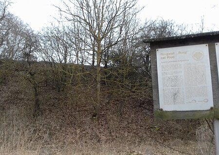 Ringwallanlage in Ried Hinweistafel zur Ringwallanlage im Monheimer Stadtteil vor einem Hügel mit kahlem Bäumen und trockenem Gras im Winter oder Spätherbst, bei Tageslicht.