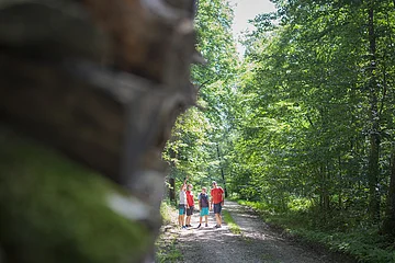 Vier Personen stehen auf einem Waldweg, umgeben von grünen Bäumen, eine Person zeigt nach oben.