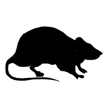Silhouette einer Ratte in schwarz, seitliche Ansicht auf weißem Hintergrund.