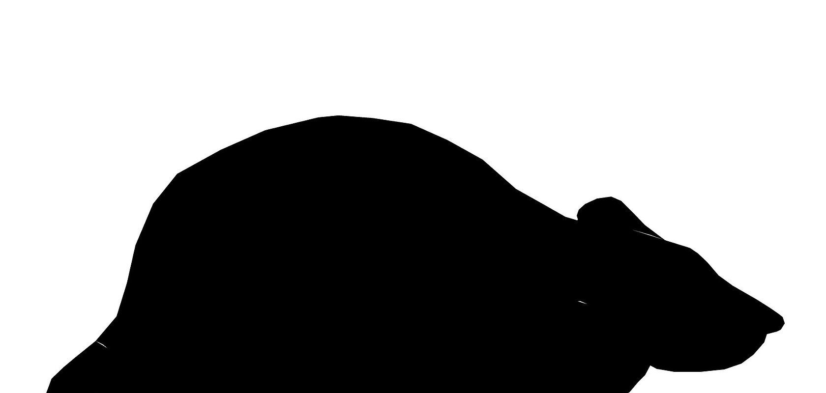 Silhouette einer Ratte in schwarz, seitliche Ansicht auf weißem Hintergrund.