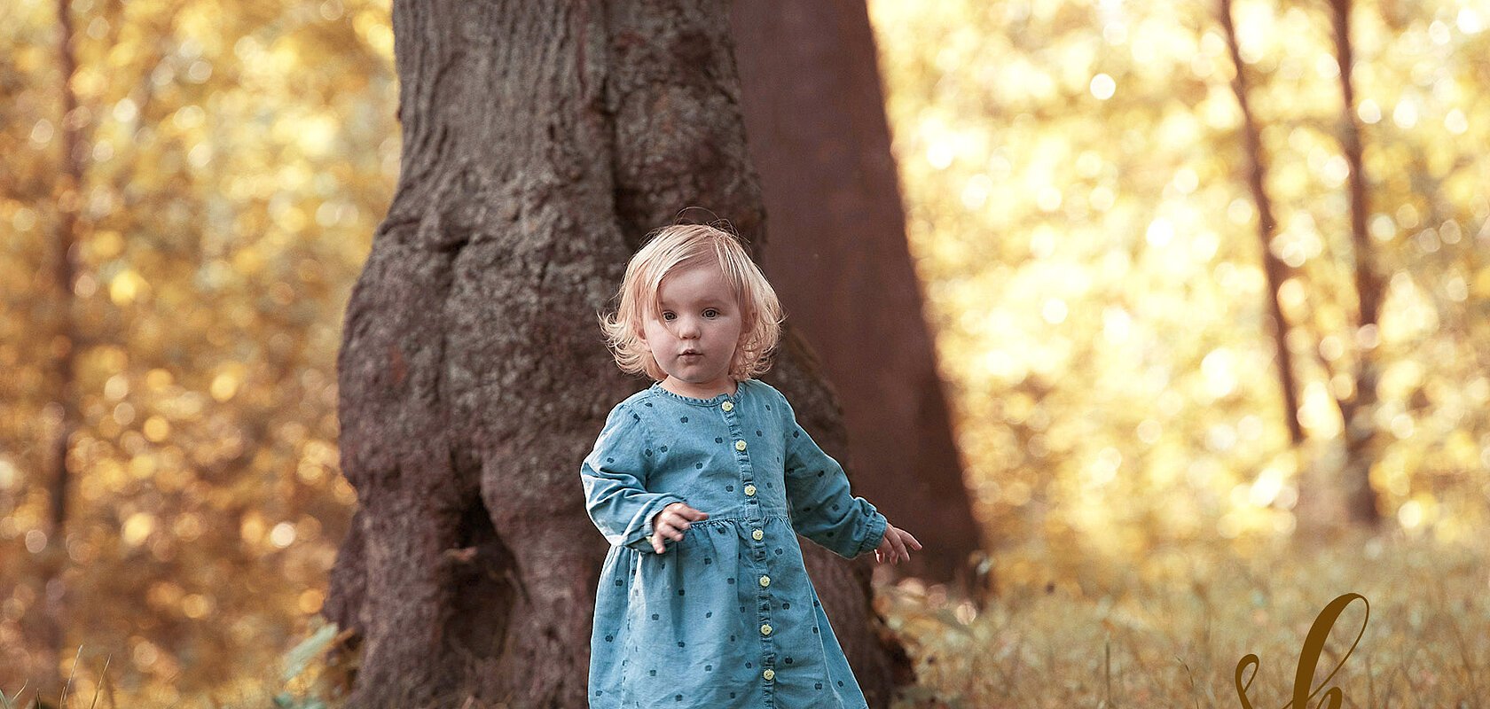 Kleines Kind mit blauem Kleid steht auf einer Wiese vor einem Baumstamm und blickt in die Kamera im herbstlichen Wald.