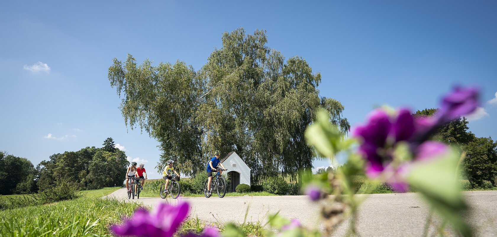 Vier Radfahrer fahren auf einem Landweg mit Bäumen und einer kleinen Kapelle im Hintergrund bei klarem Himmel. Im Vordergrund unscharf pinke Feldblumen.