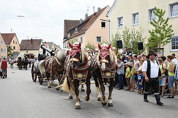 Pferde ziehen einen geschmückten Wagen bei einem Umzug durch eine Straße, daneben eine mitlaufende Person. Am Straßenrand eine Menschenmenge an Zuschauern. Im Hintergrund bewölkter Himmel.