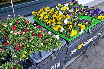 Blumen in Pflanzkästen vor einem Laden mit Schriftzug „Wir lieben Lebensmittel“ auf der Verkaufsfläche.