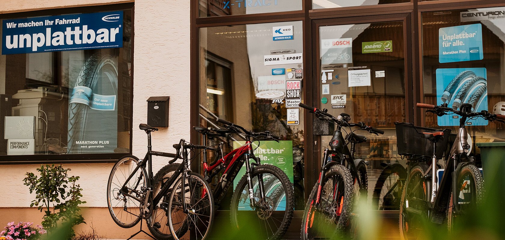 Fahrradgeschäft mit mehreren Fahrrädern vor dem Eingang und Werbeplakaten zu pannensicheren Reifen auf der Glasscheibe des Geschäfts. Im Vordergrund unscharf grüne Pflanzen zu sehen.