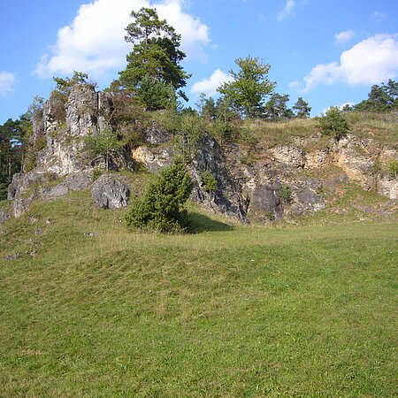 An einem Hang ist eine große bewachsene Felsformation zu sehen. Vor, auf und hinter den Felsen wachsen mehrere Büsche und Bäume.
