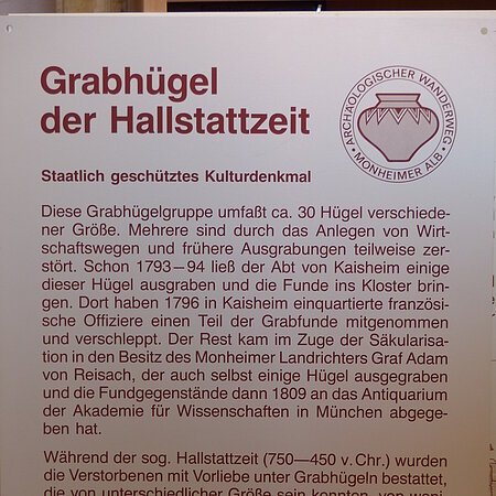 Hinweistafel zu Grabhügeln der Hallstattzeit mit Text zur Geschichte und Bedeutung, staatlich geschütztes Kulturdenkmal.