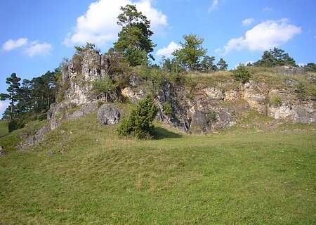 An einem Hang ist eine große bewachsene Felsformation zu sehen. Vor, auf und hinter den Felsen wachsen mehrere Büsche und Bäume.