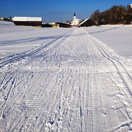 Verschneite Landschaft mit Skispuren, ein Ort zum Langlaufen in der Monheimer Alb. Im Hintergrund Gebäude, eine Kirche und blauer Himmel zu sehen.