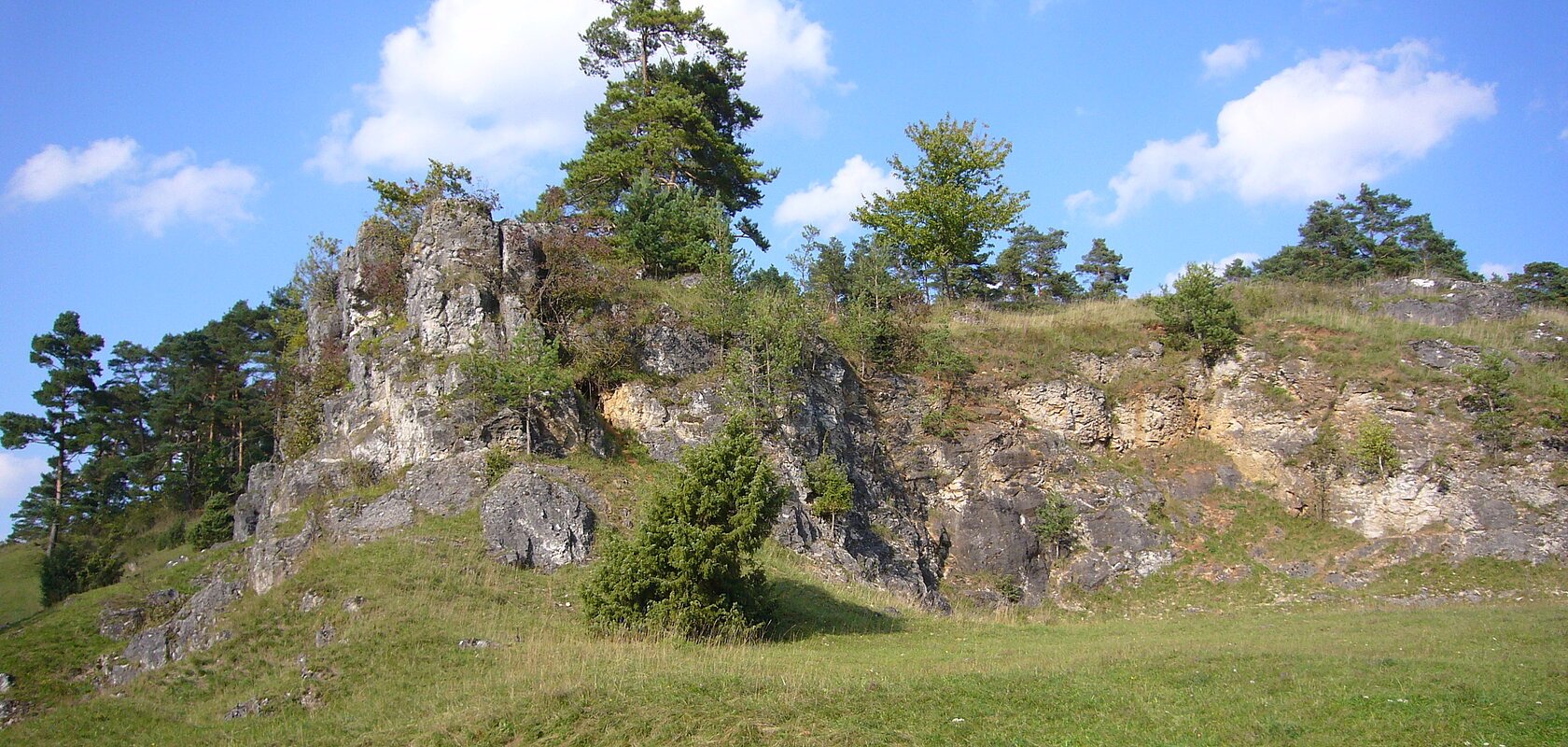 An einem Hang ist eine große bewachsene Felsformation zu sehen. Vor, auf und hinter den Felsen wachsen mehrere Büsche und Bäume.