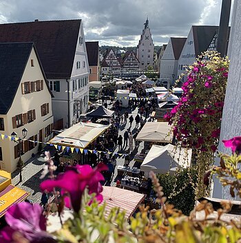 Ansicht von oben auf die Monheimer Innenstadt mit Marktständen links und rechts und Menschen, umgeben von Fachwerkhäusern. Im Vordergrund und an der Hausfassade pinke Blumen.