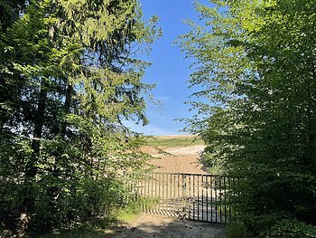 Metallgatter vor einem Waldweg, dahinter eine offene Fläche unter blauem Himmel. Das Bild zeigt die Einfahrt zur Erdaushubdeponie der Stadt Monheim