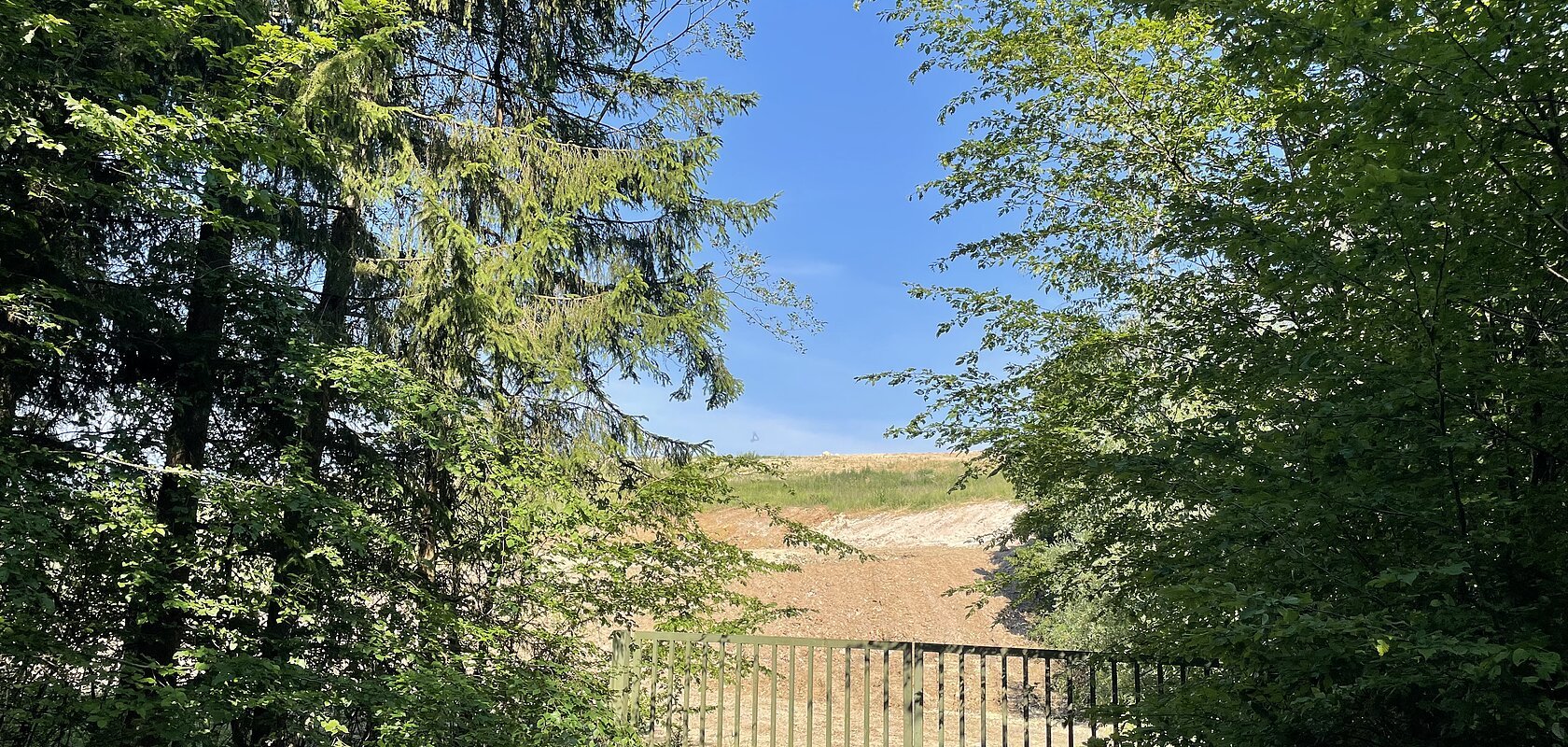 Metallgatter vor einem Waldweg, dahinter eine offene Fläche unter blauem Himmel. Das Bild zeigt die Einfahrt zur Erdaushubdeponie der Stadt Monheim