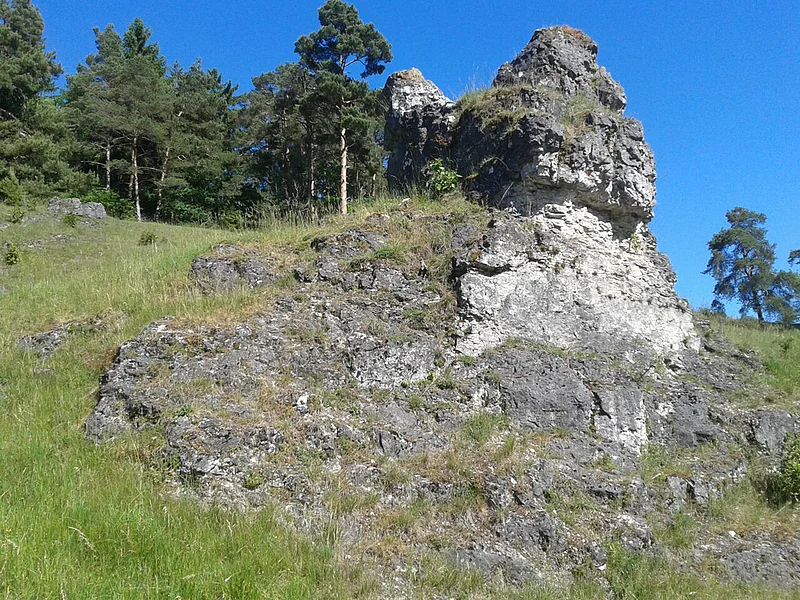 Rehau Steinbuck Felsformation mit Grasbewuchs auf einer Wiese, im Hintergrund Nadelbäume und blauer Himmel.