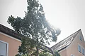 Buchstabenweg Monheim Zwei Personen stehen neben einer Steinskulptur des Buchstabens "N", daneben eine Informationstafel, beides steht auf einem Beet, mit einem Baum dahinter. Umgeben von einem gepflasterten Platz, Häusern und blauem Himmel im Hintergrund.