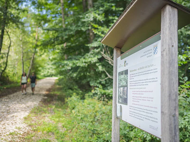 Zwei Personen, die im Sommer auf dem geschotterten Waldweg entlang gehen links im Bild, rechts im Bild eine Infotafel zum Waldumbau.