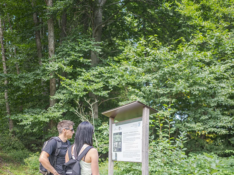 Zwei Personen mit Rucksäcken lesen eine Informationstafel am Waldrand auf einem Wanderweg.