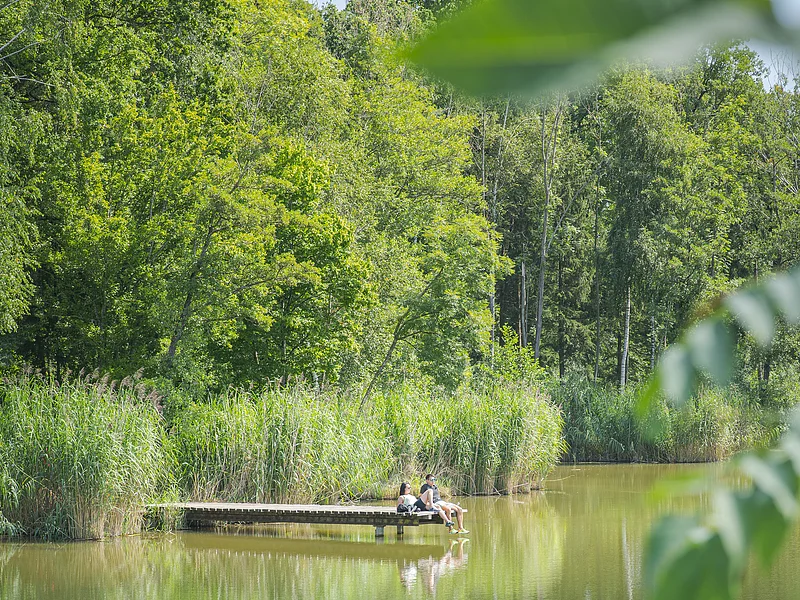 Zwei Personen sitzen auf einem Steg am See, umgeben von Bäumen und Schilf, im Vordergrund unscharfe Blätter.