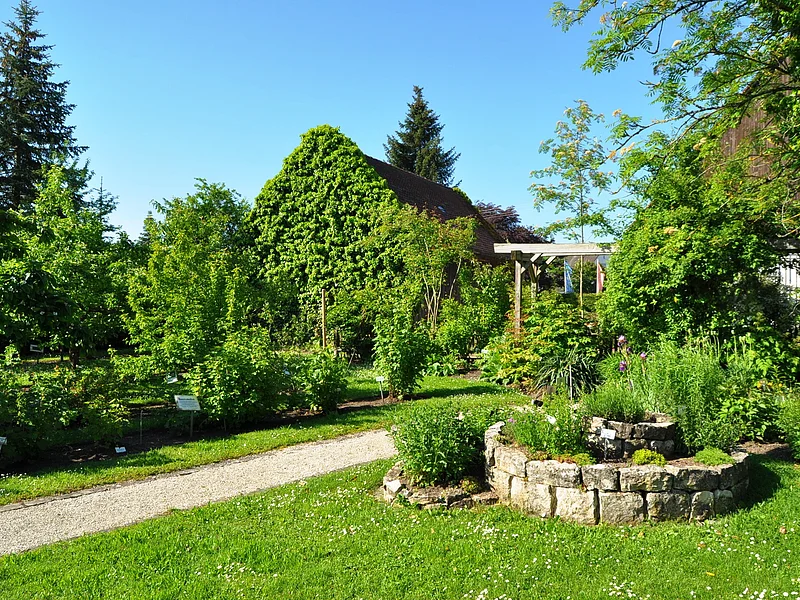 Kreislehrgarten Monheim Ein Kreislehrgarten mit verschiedenen Pflanzen und Bäumen, einem Steinbeet rechts im Vordergrund, grünem Rasen und einem mit Efeu bewachsenen Haus im Hintergrund, unter blauem Himmel. Ein Schotterweg führt durch den Garten.