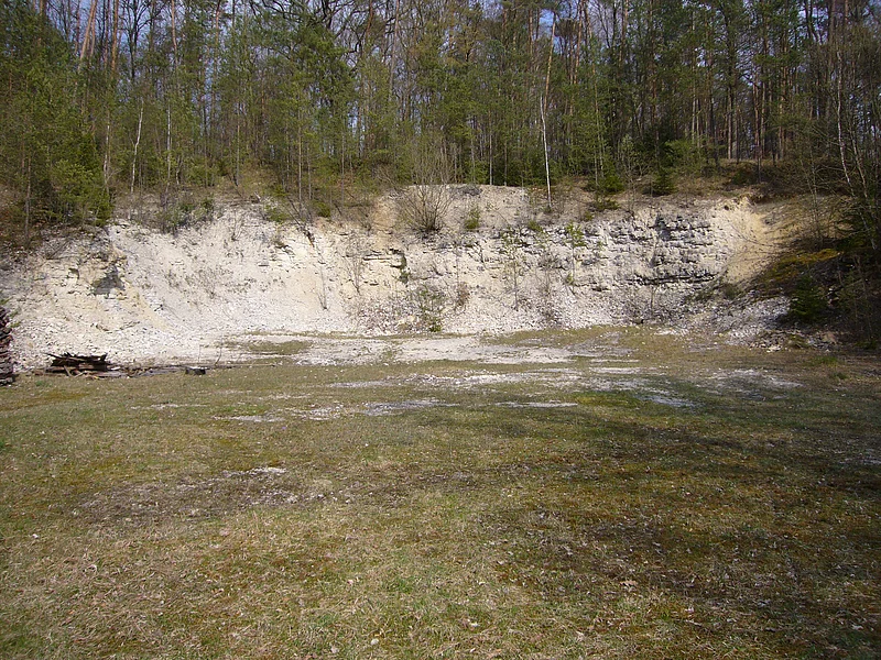 Oberhalb der Felswand eines ehemaligen Steinbruchs stehen viele Bäume. Vor der Felswand ist eine Wiese.