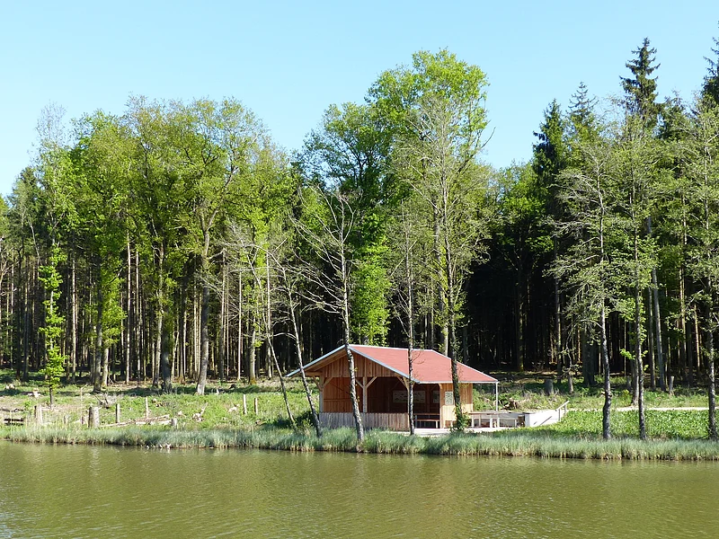 Fischereilehrhütte in Monheim Fischereilehrhütte in Monheim mit rotem Dach am Ufer eines Weihers, umgeben von Bäumen und Wald im Hintergrund.