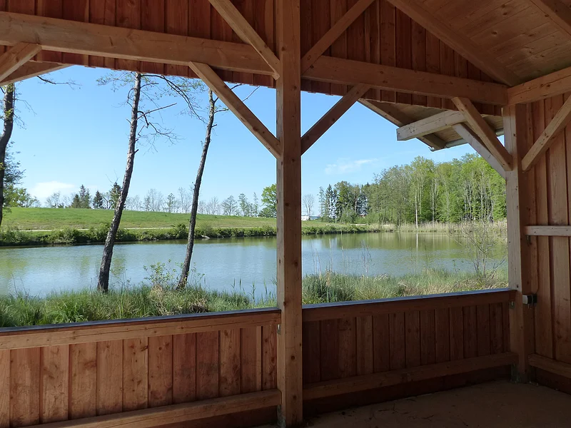 Fischereilehrhütte Monheim Blick von einer braunen Holzhütte auf einen Teich umgeben von Bäumen und Wiese unter blauem Himmel.