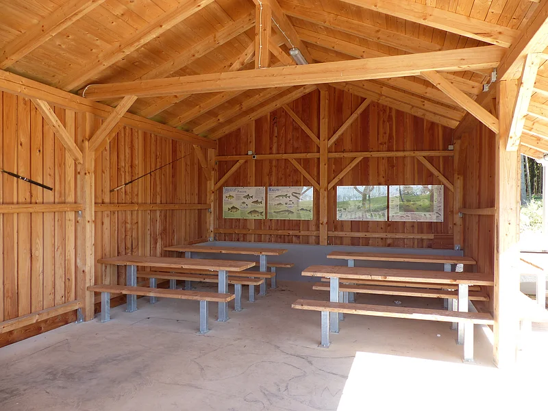 Fischereilehrhütte Monheim Überdachte Holzhütte mit Holzbänken und Tischen links und rechts an der Wand, an der Rückwand Infotafeln mit Fischabbildungen zu heimischen Fischarten angebracht.