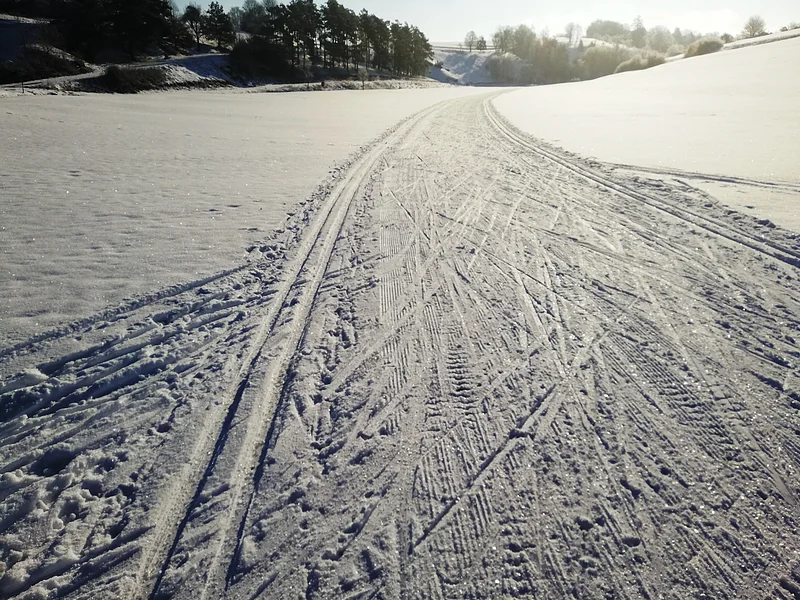 Schneebedeckte Wiese mit Spuren von Skiern und Fahrzeugen für den Langlauf, Bäume im Hintergrund bei Sonnenlicht.