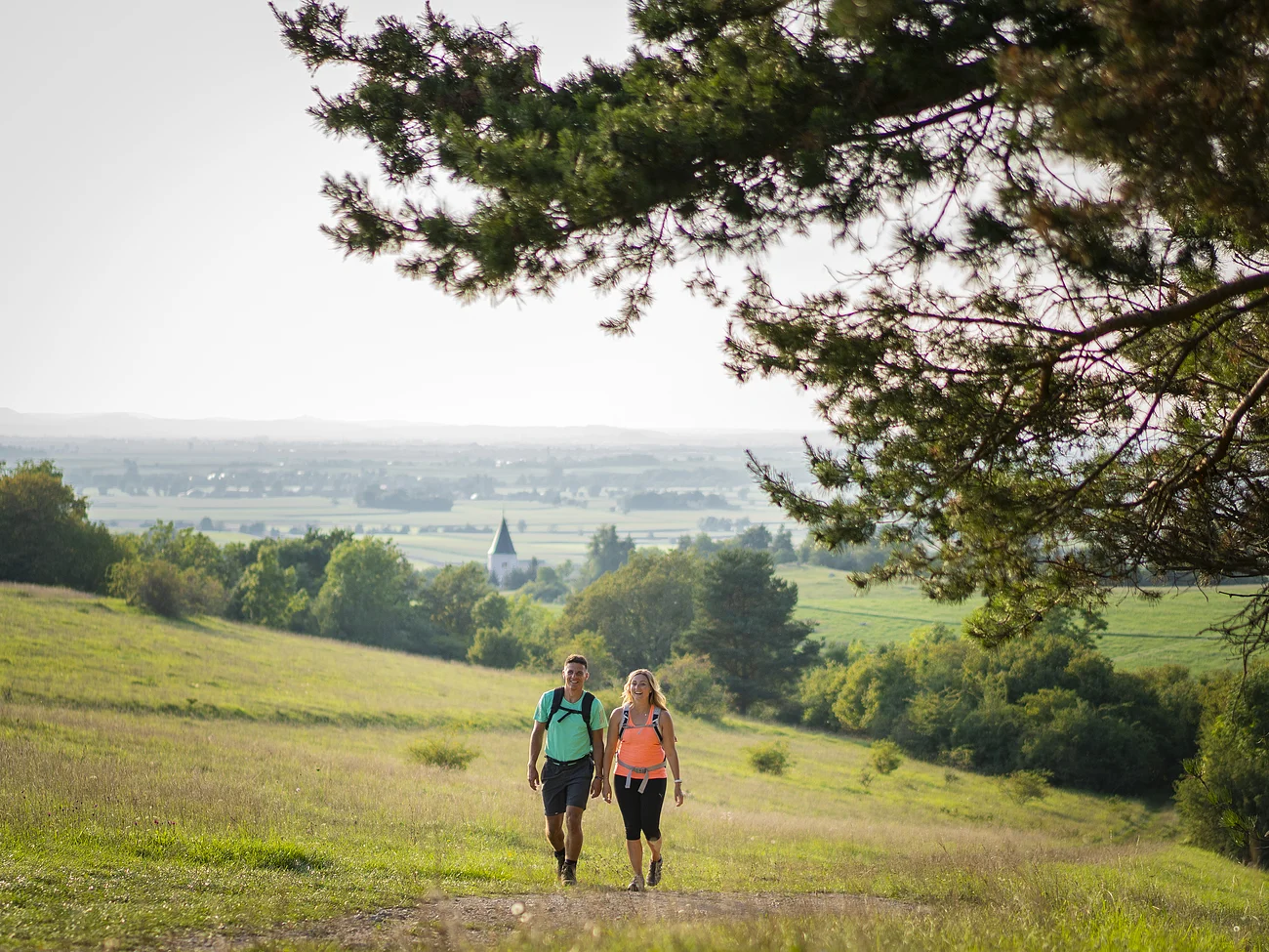 Zwei Wanderer mit Rucksäcken gehen auf einem Weg durch eine grüne Wiesenlandschaft bei klarem Himmel.