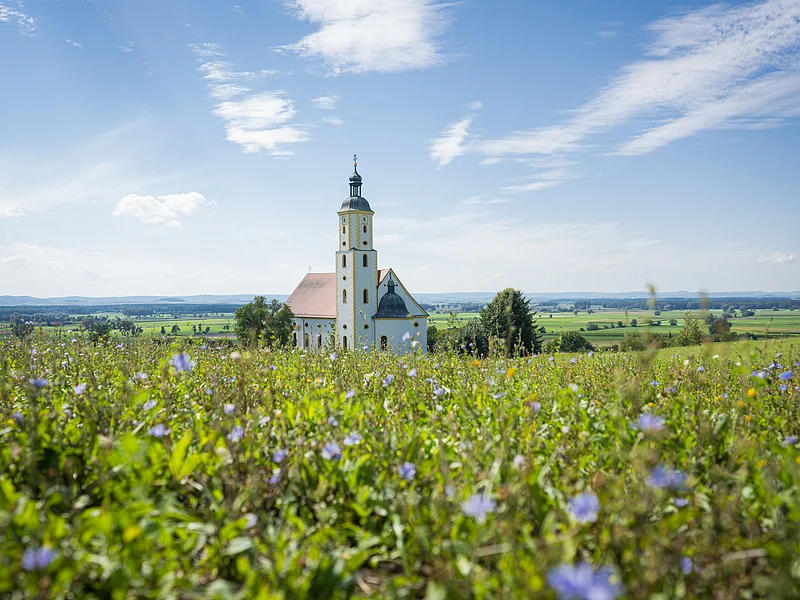 Kirche mit Turm hinter blühendem Feld unter blauem Himmel mit Wolken in ländlicher Umgebung