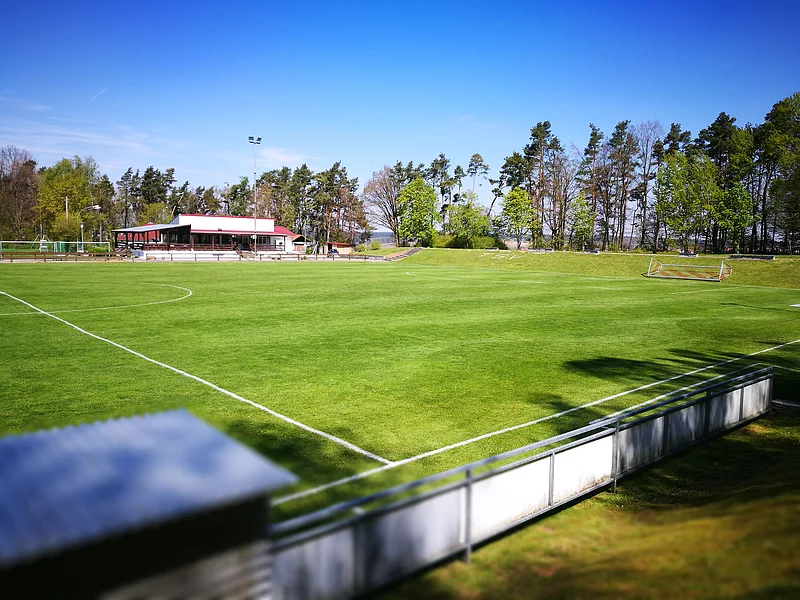 TSV 1895 Monheim e.V. - Sportgelände "Am Mandele" in Monheim Eingezäuntes Fußballfeld mit gepflegtem grünem Rasen, umgeben von Bäumen und einem Gebäude im Hintergrund, bei klarem Himmel. Rechts auf dem Fußballfeld ein Fußballtor.