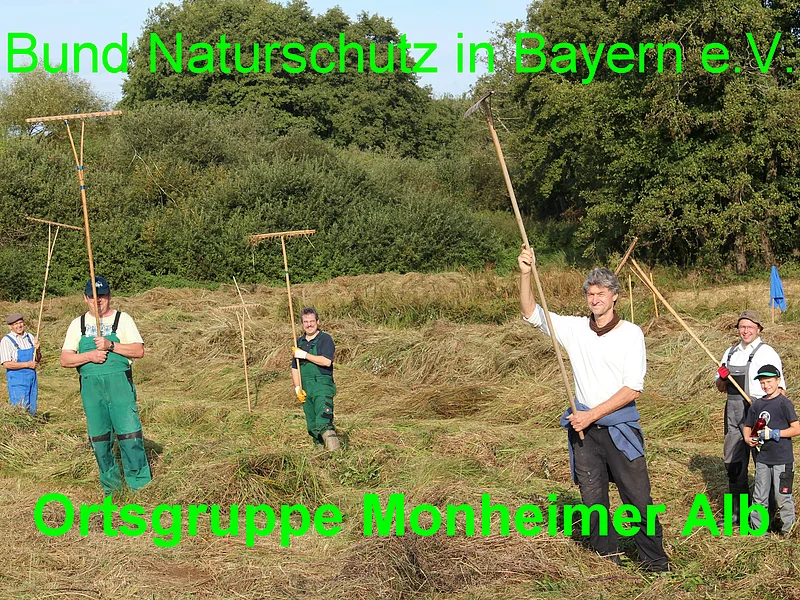 Mitglieder vom Bund Naturschutz Ortsgruppe Monheimer Alb bei der Pflege einer Feuchtwiese in Itzing Sechs Personen in Arbeitshosen stehen bei Tageslicht auf einer Wiese vor Bäumen mit hochgehobenen Rechen in den Händen. Auf dem Foto der Text „Bund Naturschutz in Bayern e.V. - Ortsgruppe Monheimer Alb“ in grün.