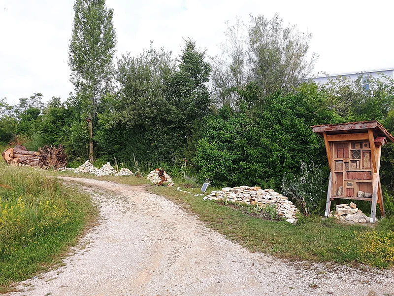 Gartenstrukturen - Lehrbienenstand mit Bienenweide Monheim Schotterweg mit Steinhaufen und Insektenhotel rechts im Bild vor dichtem Grün unter bewölktem Himmel.