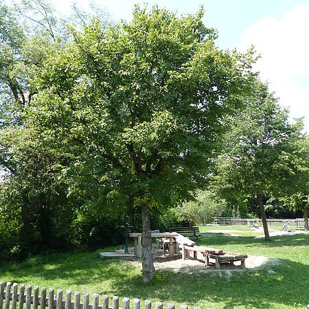 Pädagogischer Wasserspielplatz Monheim