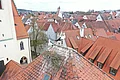 Zwei Störche im und am Nest auf einem roten Spitzdach, in in einer Kleinstadt mit einer Kirche links im Bild und vielen Häusern mit roten Dächern im Hintergrund.