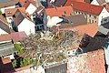 Ein Storch steht in einem großen Storchen-Nest auf einem Dach, umgeben von roten Ziegeldächern einer Stadt.
