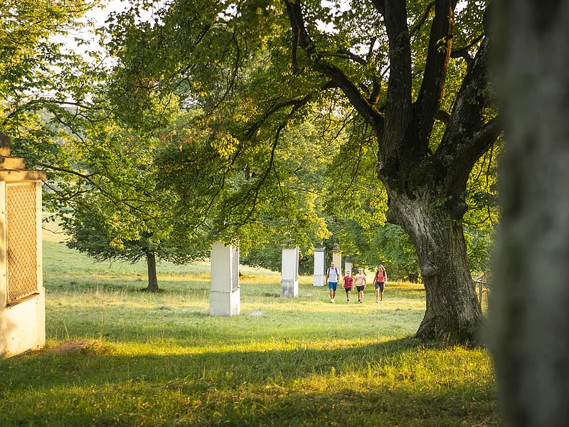 Eine Wandergruppe mit roten und blauen Shirts ist in der Ferne zu erahnen. Sie wandern inmitten grüner Wiesen, umgeben von Bäumen mit grünem Blätterdach. Rechts ist ein gemauertes Denkmal zu sehen.