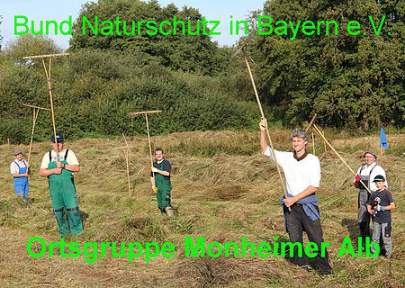 Mitglieder vom Bund Naturschutz Ortsgruppe Monheimer Alb bei der Pflege einer Feuchtwiese in Itzing