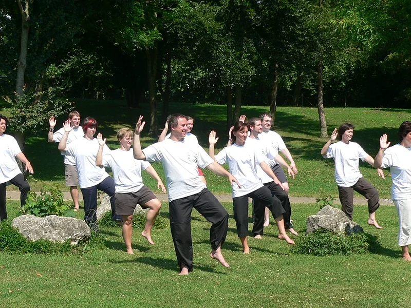 Gruppe von elf Personen in weißen T-Shirts und schwarzen Hosen macht Tai-Chi-Übungen auf einer Wiese im Park.