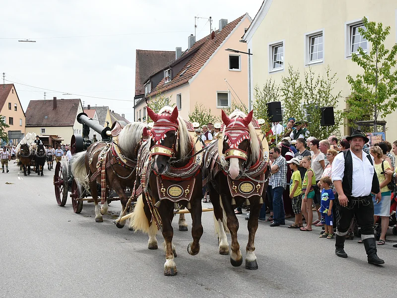 Pferde ziehen einen geschmückten Wagen bei einem Umzug durch eine Straße, daneben eine mitlaufende Person. Am Straßenrand eine Menschenmenge an Zuschauern. Im Hintergrund bewölkter Himmel.