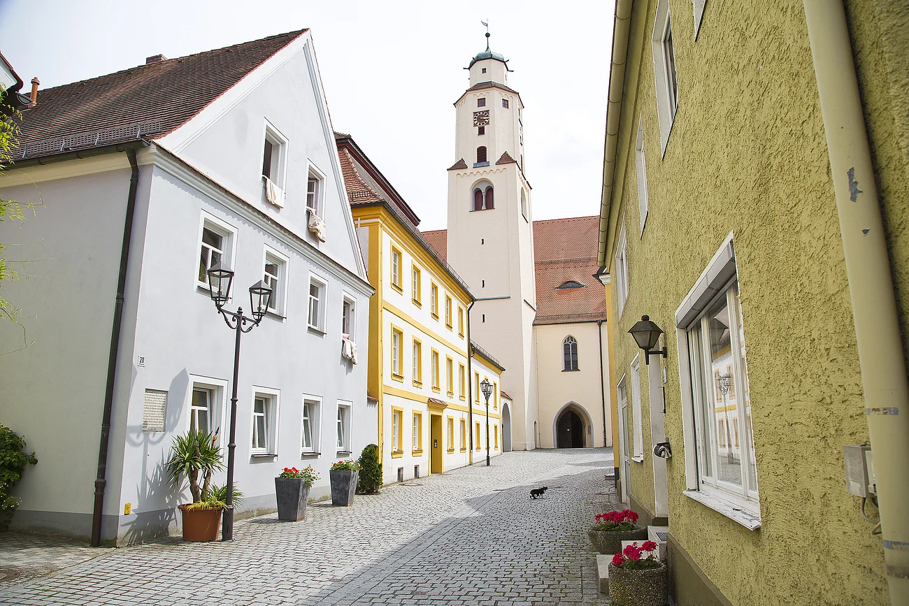 Ansicht einer alten Innenstadt mit bunten Häusern und einem Kirchturm im Hintergrund. Vor einigen Häusern stehen Pflanzgefäße und eine kleine Katze läuft auf der Straße.