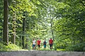 Themenpfad Zukunftswald Monheim Vier Personen spazieren auf einem Waldweg, umgeben von grünen Bäumen.