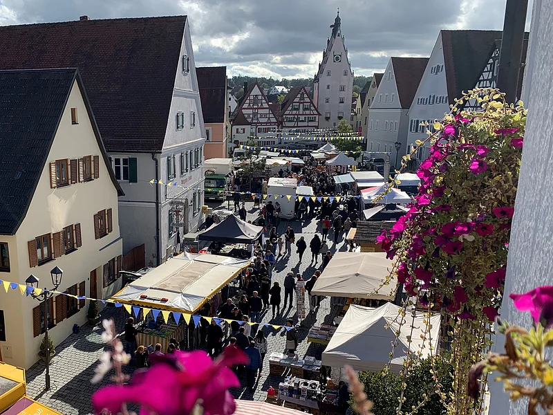 Ansicht von oben auf die Monheimer Innenstadt mit Marktständen links und rechts und Menschen, umgeben von Fachwerkhäusern. Im Vordergrund und an der Hausfassade pinke Blumen.