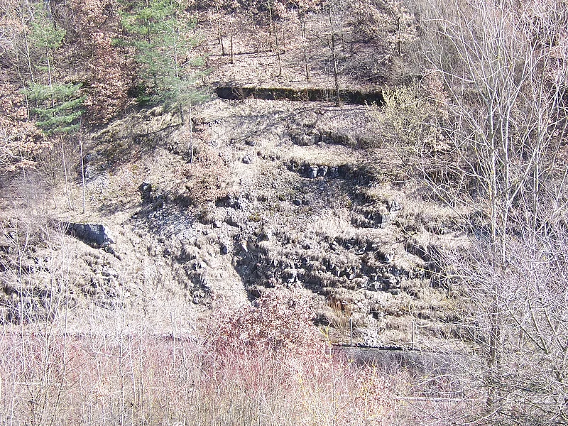 An einem Hang sind unter Gras mehrere Felsen zu erkennen. Oberhalb stehen mehrere junge Bäume.