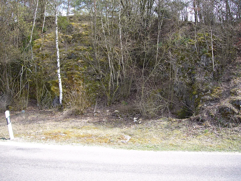 Neben einer Straße befindet sich eine bewachsene Felswand mit Moos und kleinen Bäumen.